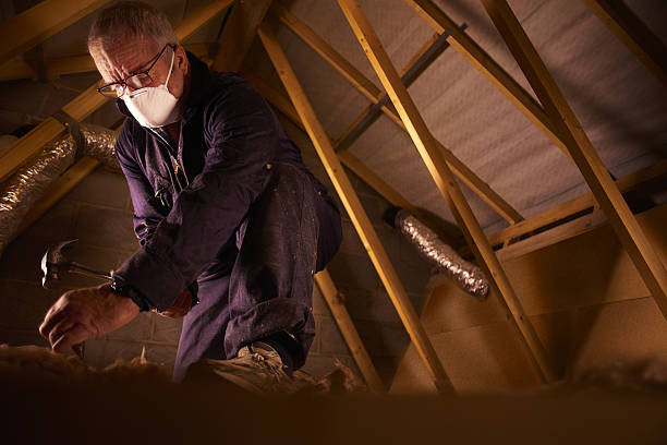 Best Garage Insulation Installation  in Canton, MO